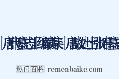 唐代墓志汇编续集·唐故处士张君墓志是什么意思的图片